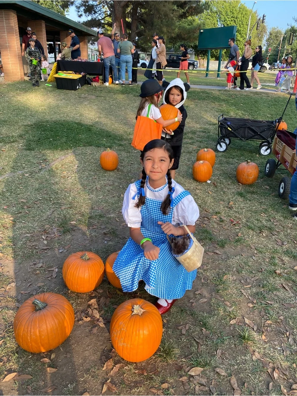 Blue Gingham Dorothy Costume Dress with White Blouse - Kids Costume